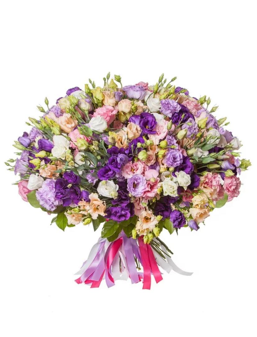 101 Лизиантус Микс Благородный